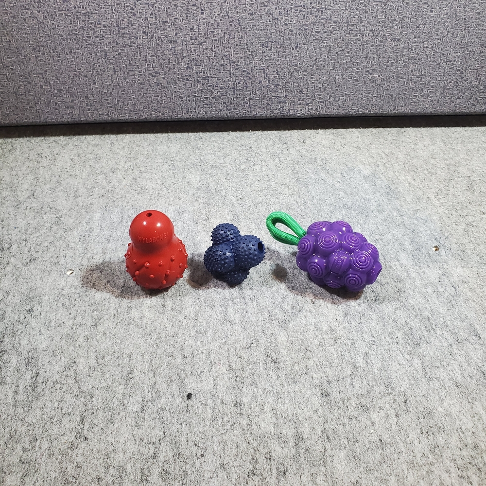 Dog Toys: Nylabone Chew Cone, Power Play Crazy Ball, Outward Hound Dental Grape